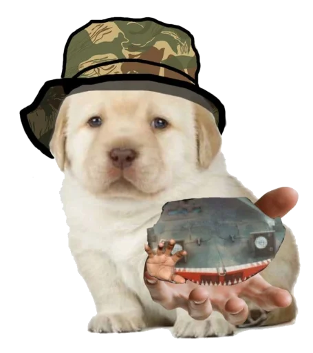 🦮 Стикер «Fan Rhodesian Pack» для Telegram