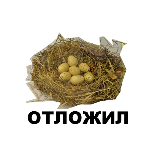 🫴 Стикер «Среда обитания» для Telegram