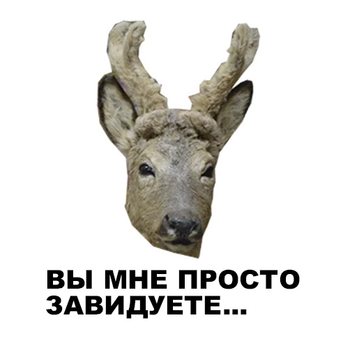 😬 Стикер «Среда обитания» для Telegram