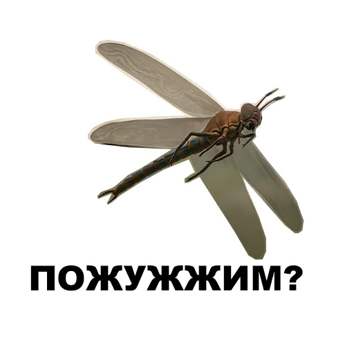 😵‍💫 Стикер «Среда обитания» для Telegram
