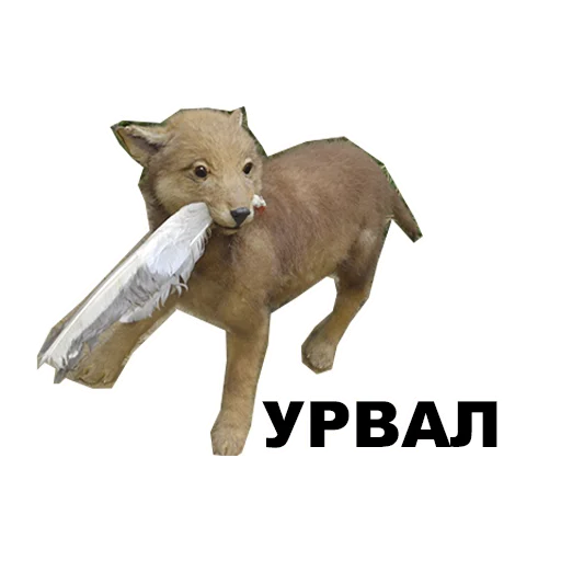 🐺 Стикер «Среда обитания» для Telegram