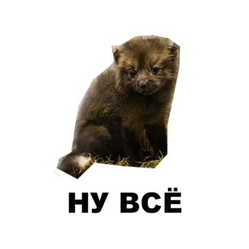 🥲 Стикер «Среда обитания» для Telegram