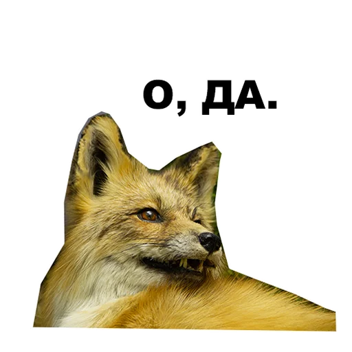 🤟 Стикер «Среда обитания» для Telegram