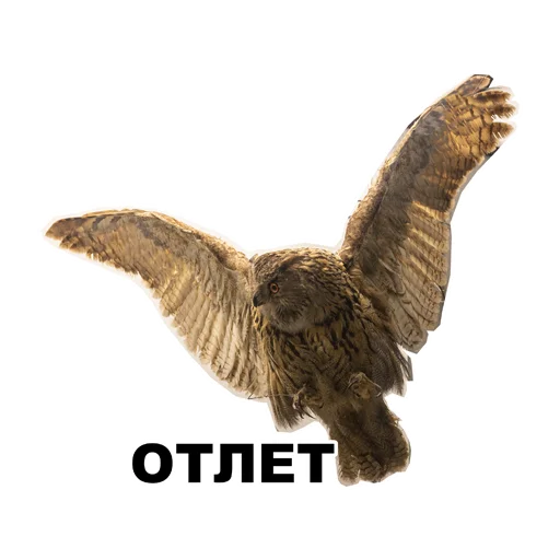 Стикерпак Среда обитания для Telegram