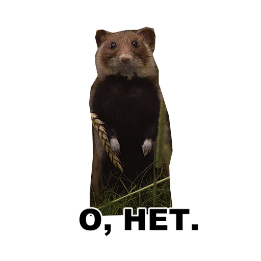 🫣 Стикер «Среда обитания» для Telegram