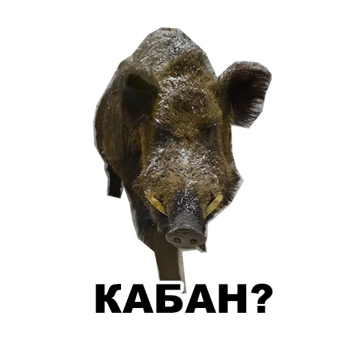 🐗 Стикер «Среда обитания» для Telegram