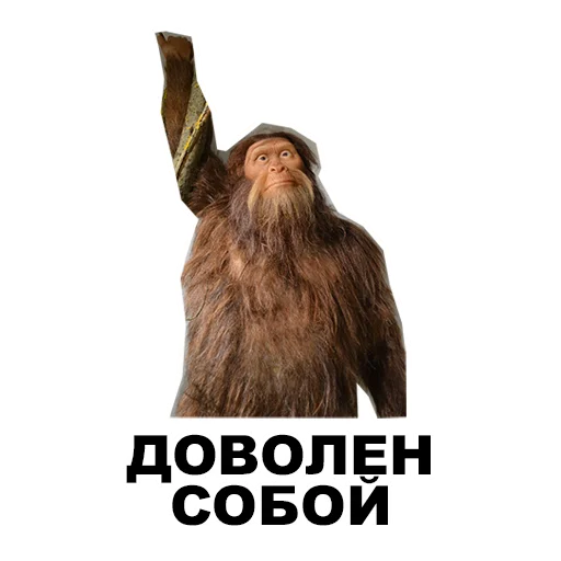 🦧 Стикер «Среда обитания» для Telegram