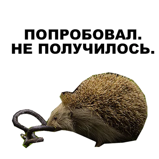 😣 Стикер «Среда обитания» для Telegram