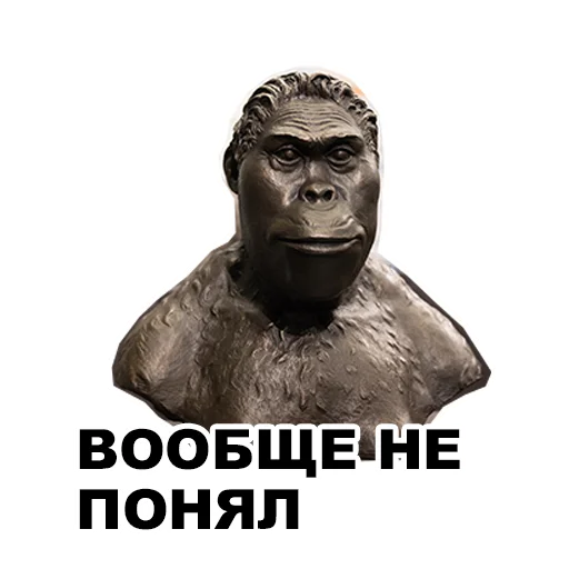 🤨 Стикер «Среда обитания» для Telegram