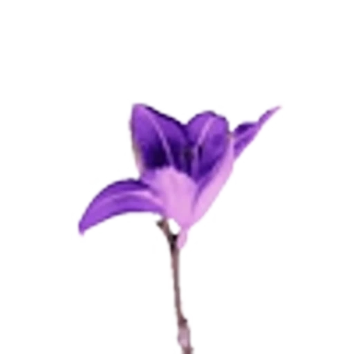 🪷 Эмодзи «Rich Lilac» для Telegram