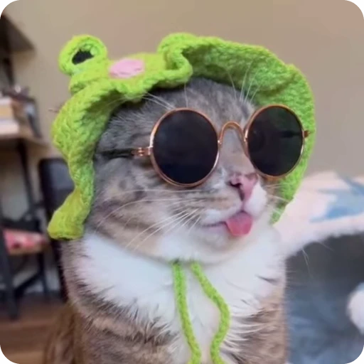 🐸 Стикер «Ригби Кот» для Telegram