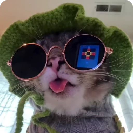 😎 Стикер «Ригби Кот» для Telegram