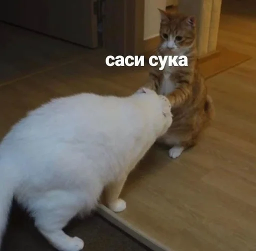 🚬 Стикер «ёй.» для Telegram