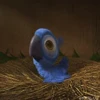 Эмодзи Рио для Telegram — скачать