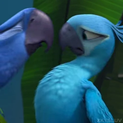 🦜 Стикер «Rio» для Telegram