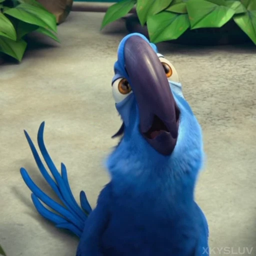 🦜 Стикер «Rio» для Telegram