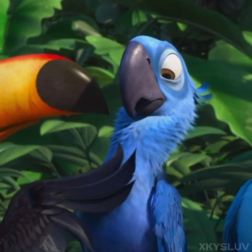 🦜 Стикер «Rio» для Telegram