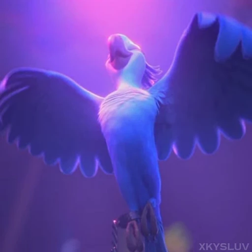 🦜 Стикер «Rio» для Telegram