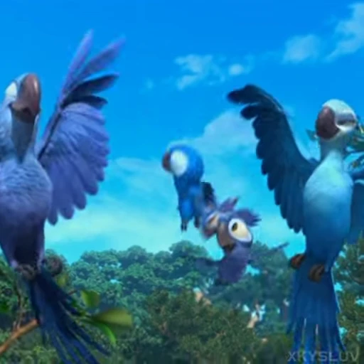 🦜 Стикер «Rio» для Telegram