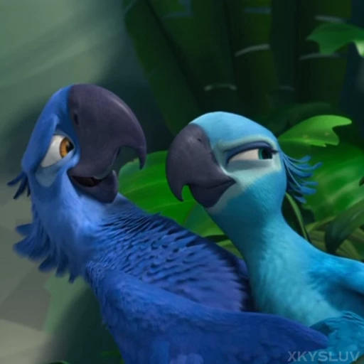 🦜 Стикер «Rio» для Telegram