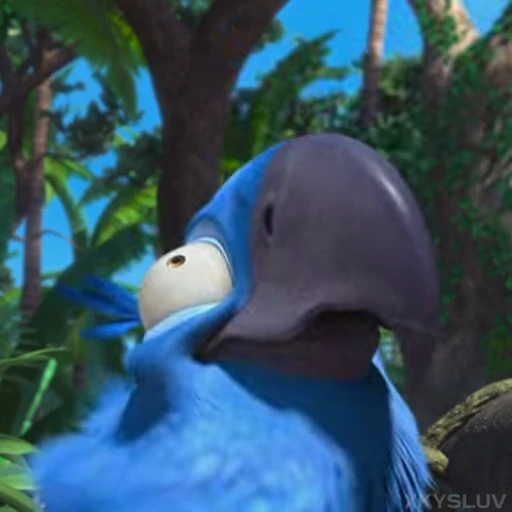 🦜 Стикер «Rio» для Telegram