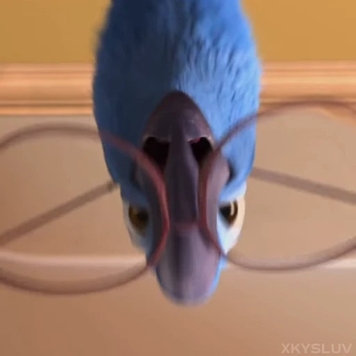 🦜 Стикер «Rio» для Telegram