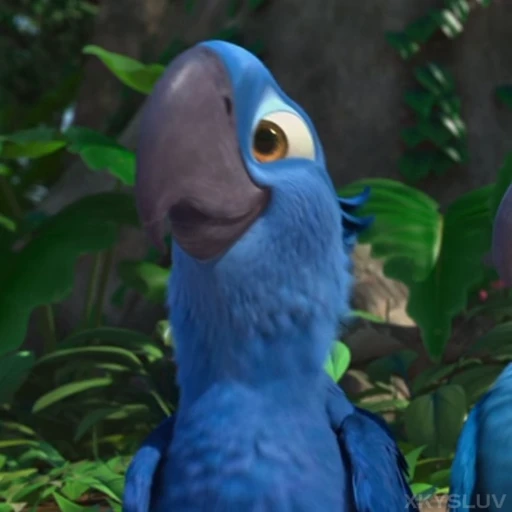 🦜 Стикер «Rio» для Telegram