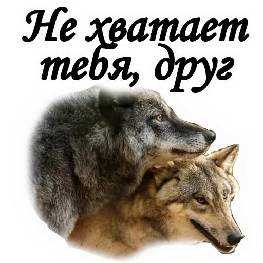 🥺 Стикер «Вечная ПАМЯТЬ» для Telegram