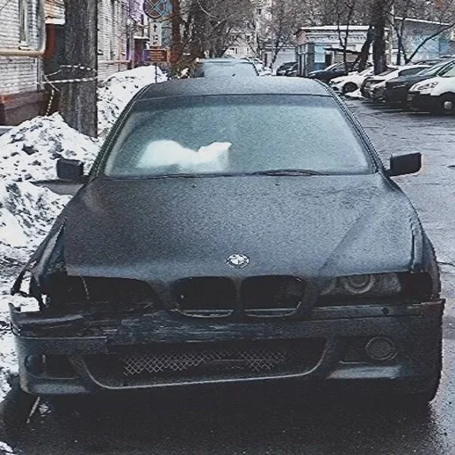 🪦 Стикер «ripbmw» для Telegram