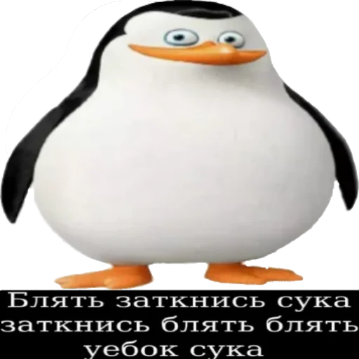 🙂 Стикер «Ржакич без смс и регистрации» для Telegram
