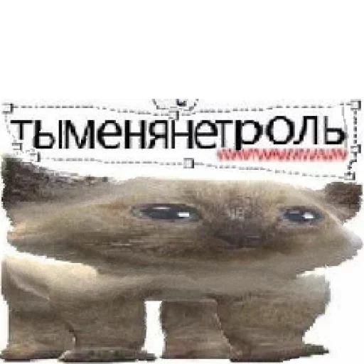 🤬 Стикер «Ржакич без смс и регистрации» для Telegram