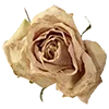 Стикер 14 Love Rjor
