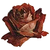 Стикер 34 Love Rjor