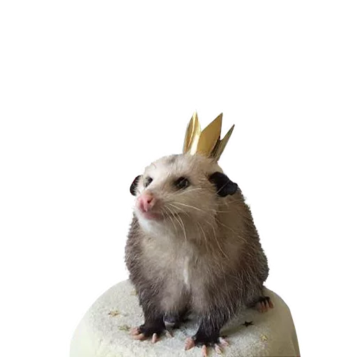 🤴 Стикер «REAL Poss Stickers» для Telegram