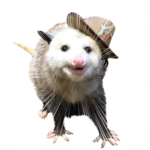 👮 Стикер «REAL Poss Stickers» для Telegram