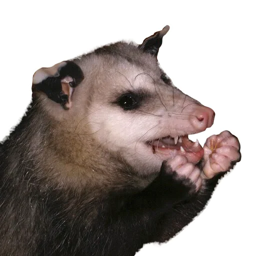 😡 Стикер «REAL Poss Stickers» для Telegram