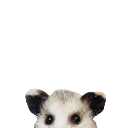 😟 Стикер «REAL Poss Stickers» для Telegram