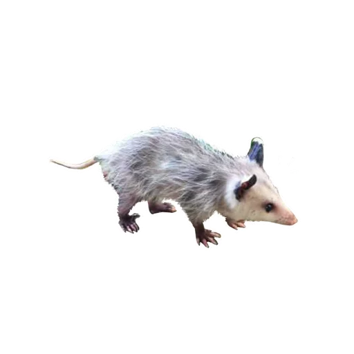 ☹ Стикер «REAL Poss Stickers» для Telegram