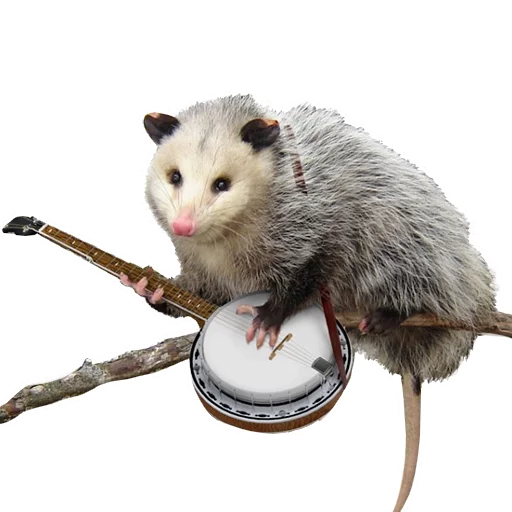 🎸 Стикер «REAL Poss Stickers» для Telegram