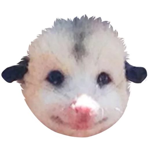 🙂 Стикер «REAL Poss Stickers» для Telegram