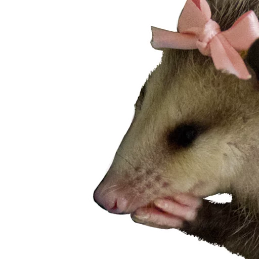 ☺️ Стикер «REAL Poss Stickers» для Telegram