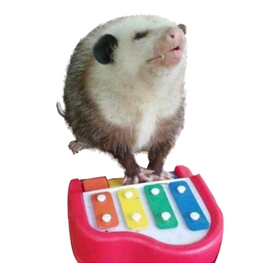 🎹 Стикер «REAL Poss Stickers» для Telegram
