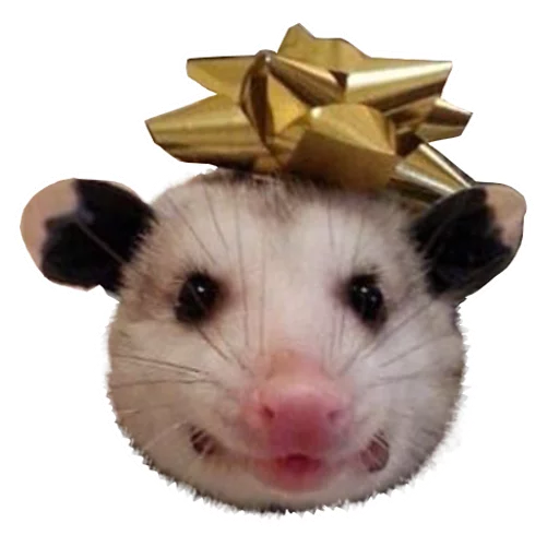 🏅 Стикер «REAL Poss Stickers» для Telegram
