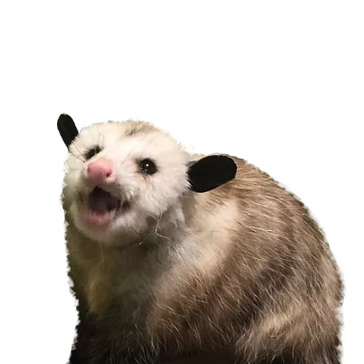 😲 Стикер «REAL Poss Stickers» для Telegram