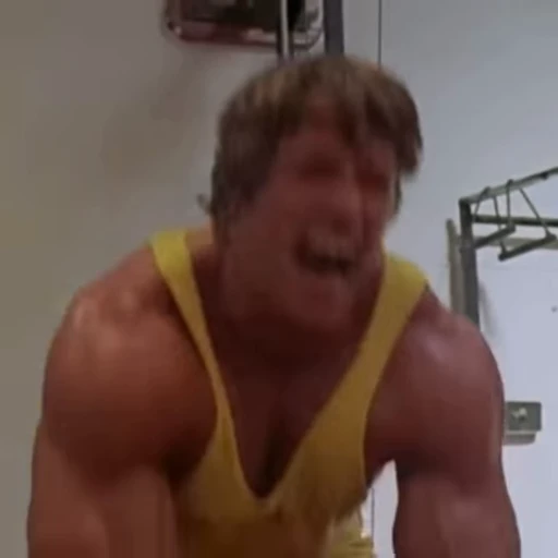 🪨 Стикер «Arnold Schwarzenegger» для Telegram