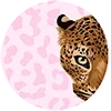 Стикер 9 Roarrr