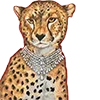 Стикер 36 Roarrr