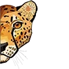 Стикер 39 Roarrr