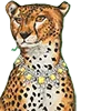 Стикер 37 Roarrr