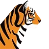 Стикер 30 Roarrr